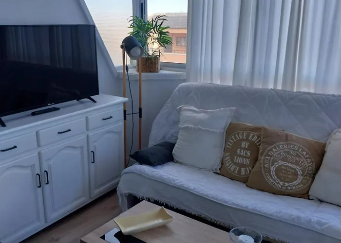 Cabo Cervera 50 M Del Mar Apartamento